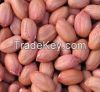 Hot sales Peanut kernels
