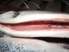 chilean frozen atlantic salmon