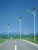 Solar Street Light