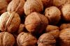 2013 crop walnut in shell 28mm-34mm