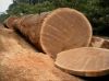 Tali wood logs and sawn timber