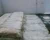 Sell Wet Salted Cow Head Hides
