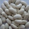Sell White Kidney Beans