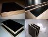 9-21mm High Quality Film Faced Plywood
