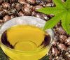 CASTOR OIL