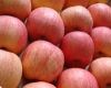 Excellent Quality 100% Fresh Red Fuji Apples