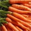 Fresh Carrots Sale
