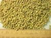 GREEN/RED LENTILS