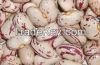 RED, WHITE AND BLACK KIDNEY BEANS