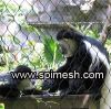 monkey enclosure mesh