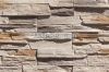 Cement Back Decorative Wall Nature Stone