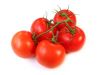 Sell Fresh Tomatoes, Tomatoe