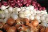Fresh Onion (red, White And Yellow Available)