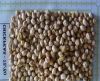 CHICKPEAS 75 - 80 (8 MM)