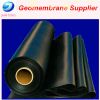 waterproofing pond liner HDPE geomembrane