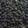 BLACK PEPPER  FROM CAMEROON