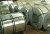 Stainless Steel Coils, Stainless Steel