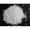 Supply Pb Granule /Pb Powder for Everyone