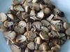 SALTED STRAW MUSHROOM Vietnam 2016 (whatsapp viber 84 98 358 7558)