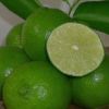 FRESH LEMON/ LIME FROM VIETNAM FOR EXPORT