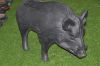 sell 3D animal pig archery target