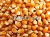 Yellow Corn 14% /DDGS/ANIMAL FEEDS