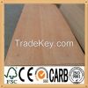 Hot sale 18mm brown film faced plywood with logo
