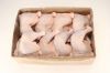 Frozen Whole Chicken and Parts !! Top Supplier !!!