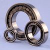 Sell Full Completment cylindrical roller bearings SL182928(NCF2928)DSCBEARINGS
