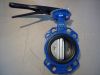 Butterfly Valve