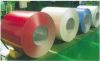 Sell Color Coated Steel Coil/sheet//prepainted Galvanized Steel Coil