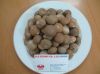 Sell Dried Betel Nut - Vietnam Origin