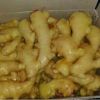 Fresh Ginger for Sale