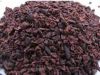 Organic Cacao Nibs (Raw)