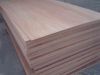 Sell 18mm keruing plywood