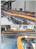 Sell Conveyor system