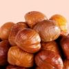 chestnut kernel