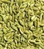 Egyptian fennel seeds