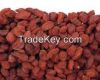 Organic Goji Berry(Organic Wolfberry)