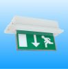 emergency exit lights