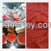 canned tomato paste