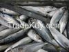 offer pacific mackerel whole round