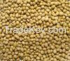 Soybeans FOB Odessa Ukraine