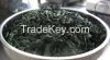 5kg of spirulina flake or powder