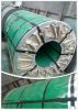supply width 1800mm to 2000mm stainless steel plate and coil