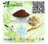 Tongkat Ali Extract , eurycoma longifolia