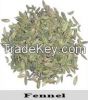 fennel seeds