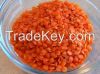 Red split Lentils