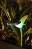 nice design solar leaf light QFC-PR056