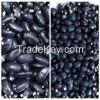 2014 new crop big black bean / black kidney bean / black lentils